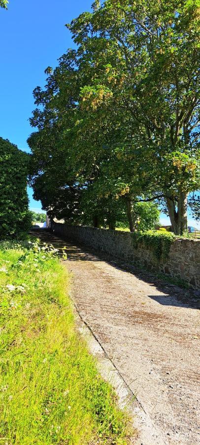 Ardkeen House B&B 외부 사진